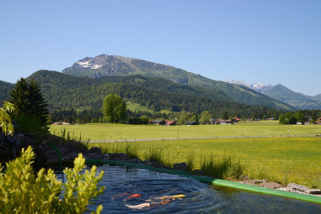 Haus Panorama Lägenhet Reit im Winkl Exteriör bild